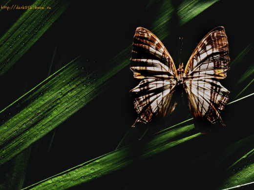 357460 (a): :1600x1200